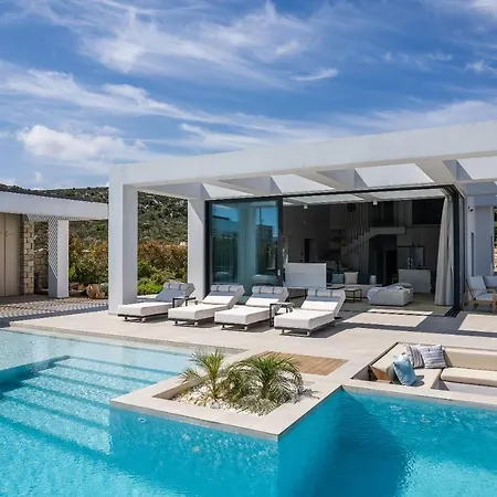 Chic Dream *
